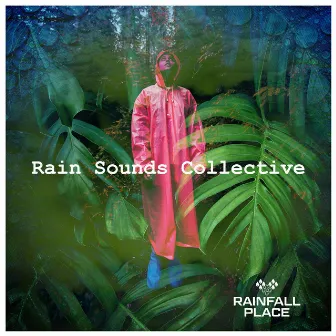 Rain Sounds Collective by Rainfall Place