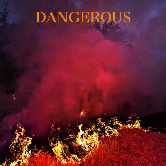 DANGEROUS by Lil Papercuts