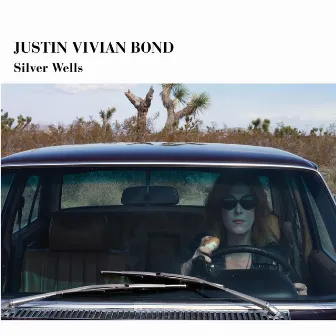 Silver Wells by Justin Vivian Bond