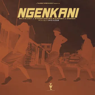 Ngenkani by Mlue Jay