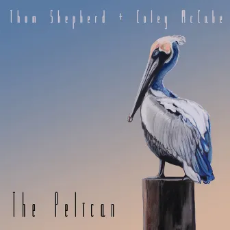 The Pelican by Coley McCabe