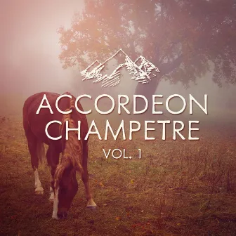 Accordéon Champêtre, Vol. 1 by Unknown Artist