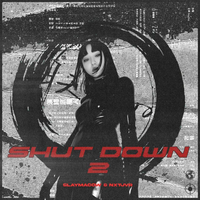 SHUT DOWN 2