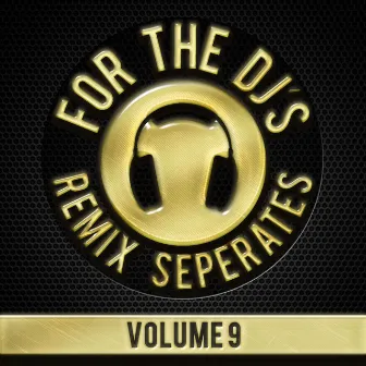 For The DJs, Vol. 9 by DJ Dizzy