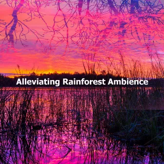 Alleviating Rainforest Ambience by Nature Soundscapes