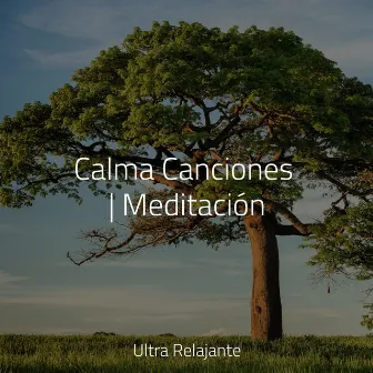 Calma Canciones | Meditación by Dormir Mucho