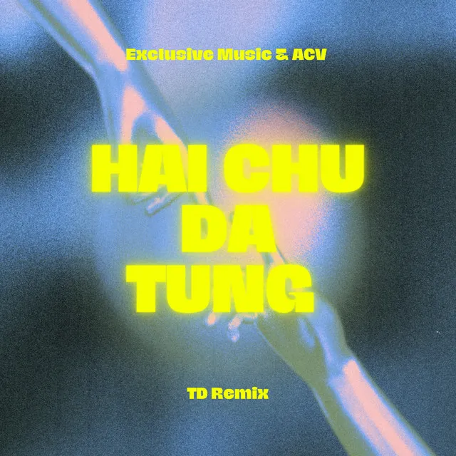 Hai Chữ Đã Từng - TD Remix