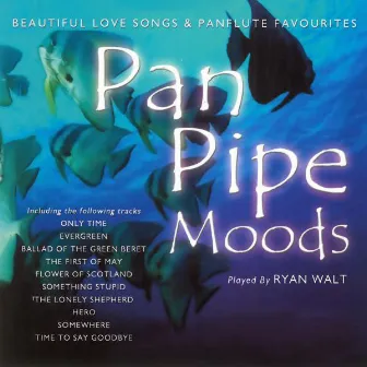 Pan Pipe Moods by Ryan Walt