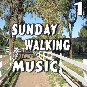 Sunday Walking Music, Vol. 1 (Special Edition) by Shelby Johnson