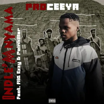 Indle'mnyama by Proceeya