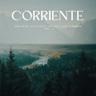 Corriente: Sonidos Naturales De Río Para Dormir Vol. 1 by Música para dormir fácil de escuchar