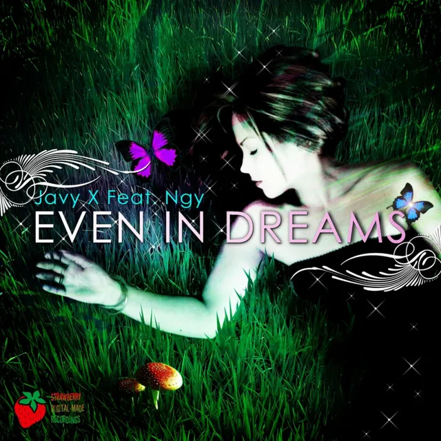 Even In Dreams - Cocinasonica Pres. AB Freezeman Remix