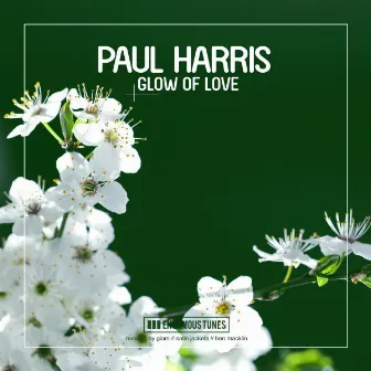 Glow of Love by Paul Harris