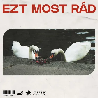 Ezt most rád by Fiúk