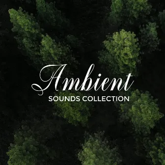 Ambient Sounds Collection: 15 Relaxing Tunes of Ambient Music by Chillout Sound Festival