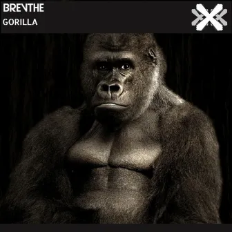 Gorilla by BREVTHE