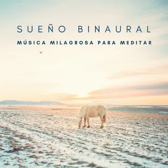 Sueño Binaural: Música Milagrosa Para Meditar by Binaurales Colectivo