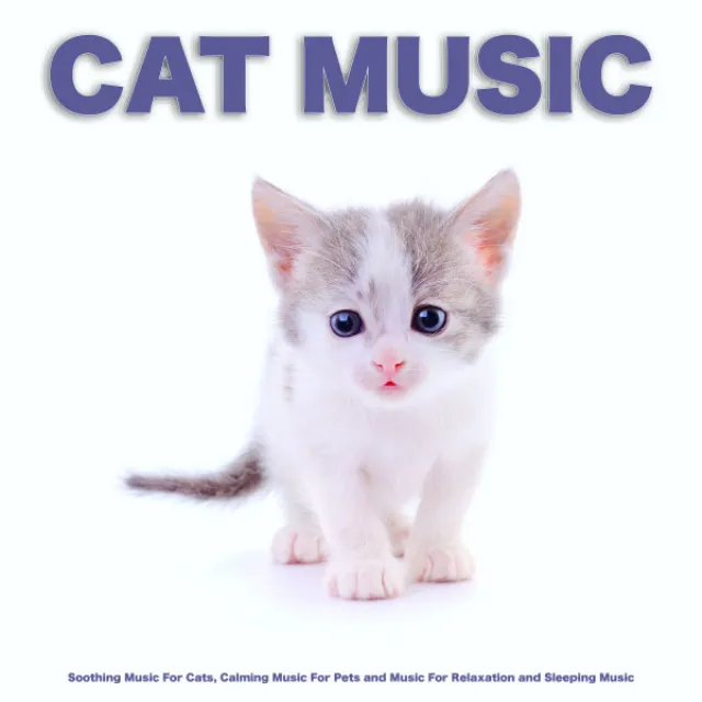 Calming Music For Pets