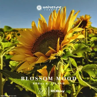 Blossom Mood by 