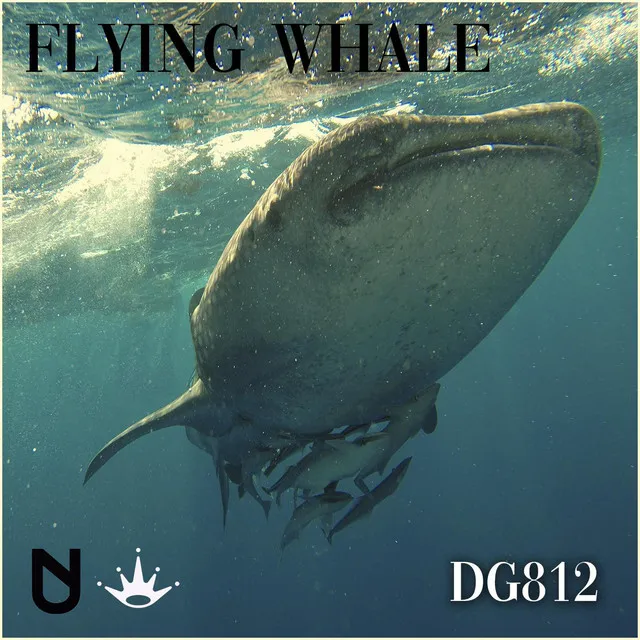 Flying Whale