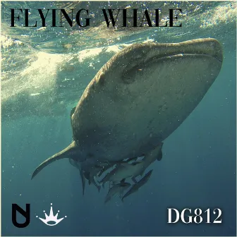 Flying Whale by DG812