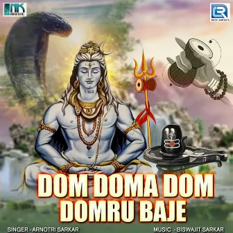 Dom Doma Dom Domru Baje by Arnotri Sarkar