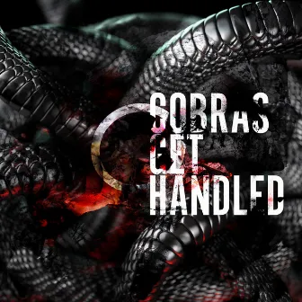 COBRAS GET HANDLED by Unknown Artist