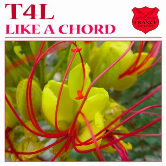 Like a Chord by T4L