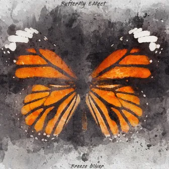 Butterfly Effect by Breeze Oliver