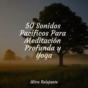 50 Sonidos Pacíficos Para Meditación Profunda y Yoga by Sonidos De Truenos y Lluvia