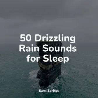 50 Drizzling Rain Sounds for Sleep by Relaxing Nature Sounds Collection