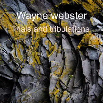 Trials and Tribulations by Wayne webster