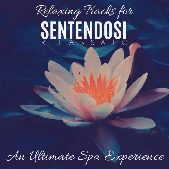 Sentendosi Rilassato - Relaxing Tracks For An Ultimate Spa Experience by Mystical Guide