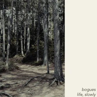 Life, Slowly by Bogues