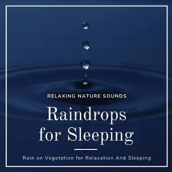 Raindrops for Sleeping: Relaxing Nature Sounds, Rain on Vegetation for Relaxation And Sleeping by Healing Markrain