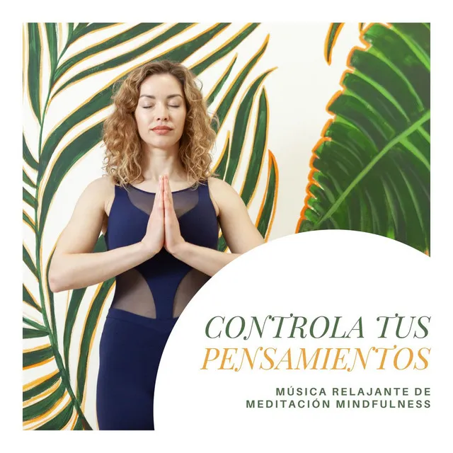 Controla tus Pensamientos: Música Relajante de Meditación Mindfulness