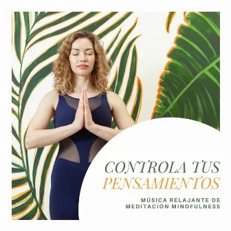 Controla tus Pensamientos: Música Relajante de Meditación Mindfulness by Neuroceptic