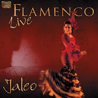 Jaleo: Flamenco Live by Jaleo