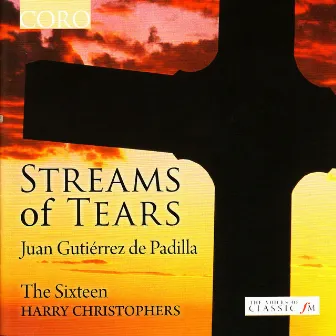 Streams of Tears by Juan Gutiérrez de Padilla