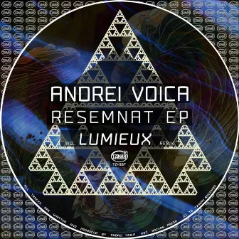 Resemnat EP by Andrei Voica