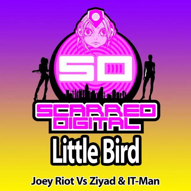 Little Bird - Original Mix