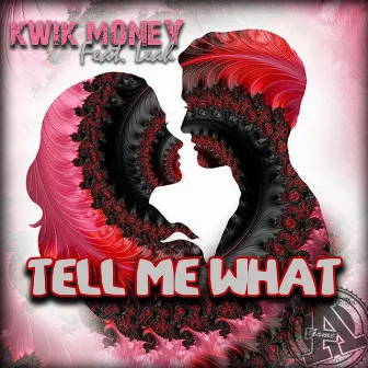 Tell Me What by Kwik Money