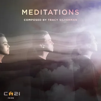 Meditations by Tracy Silverman