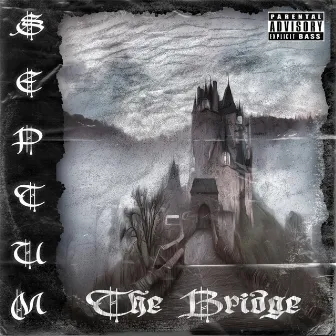 The Bridge by Septum