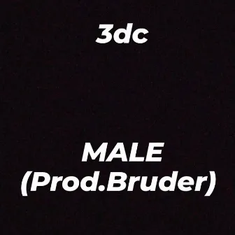 Male by 3dc