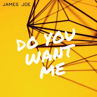 Do You Want Me by James Joe