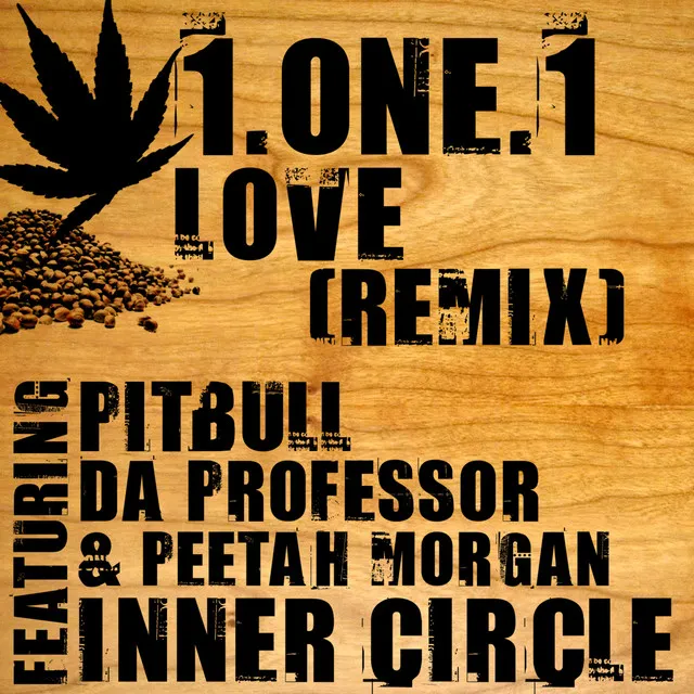 1.One.1 Love Remix (feat. Da Professor, Pitbull & Peetah Morgan)