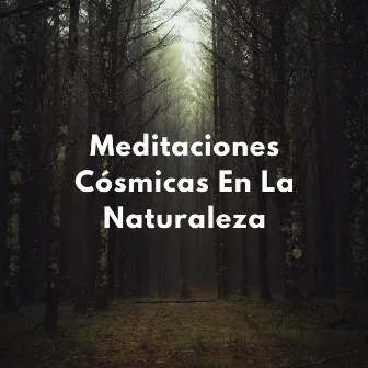 Cúpula Celestial: Meditaciones Cósmicas En La Naturaleza by Zona musical de meditación guiada