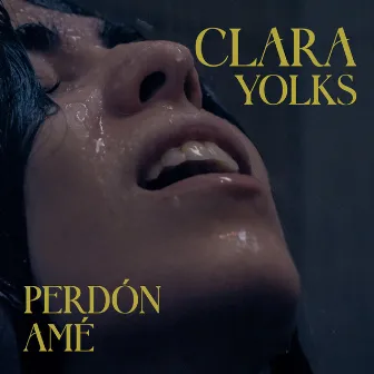 Perdón-amé by Clara Yolks