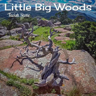 Little Big Woods by Tavish Stone